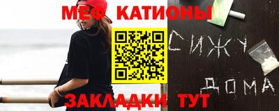 индика Дубна