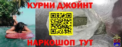 индика Дубна