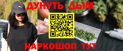 индика Дубна