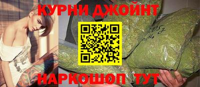 индика Дубна
