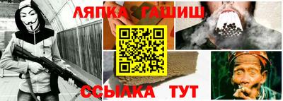 индика Дубна